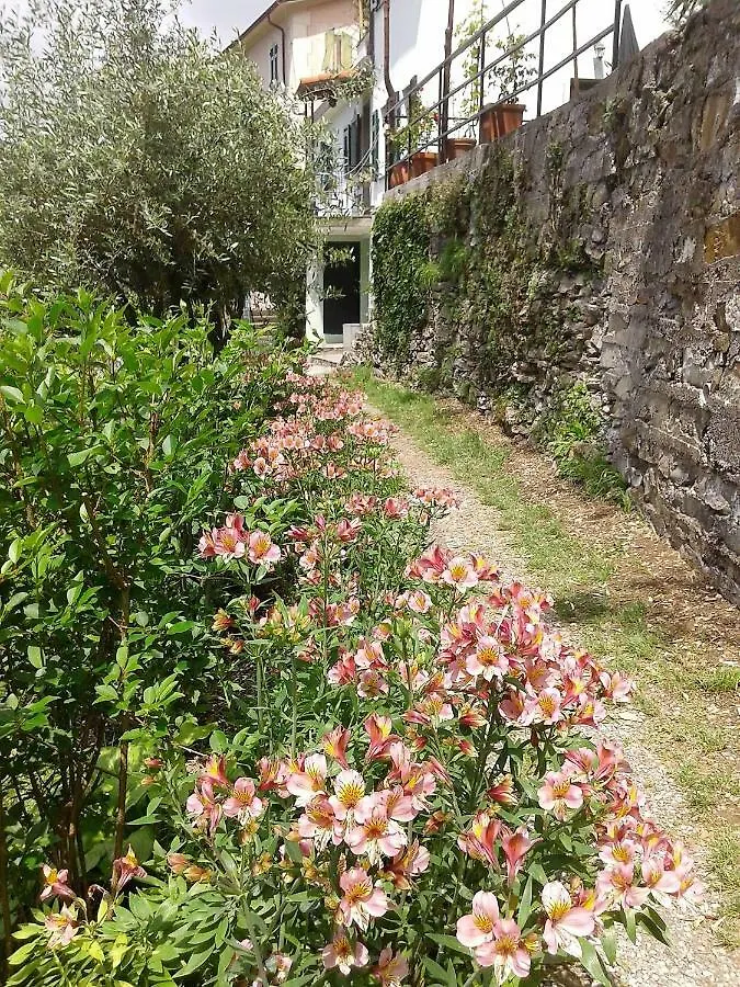 B&B I Glicini Vescina 0*,