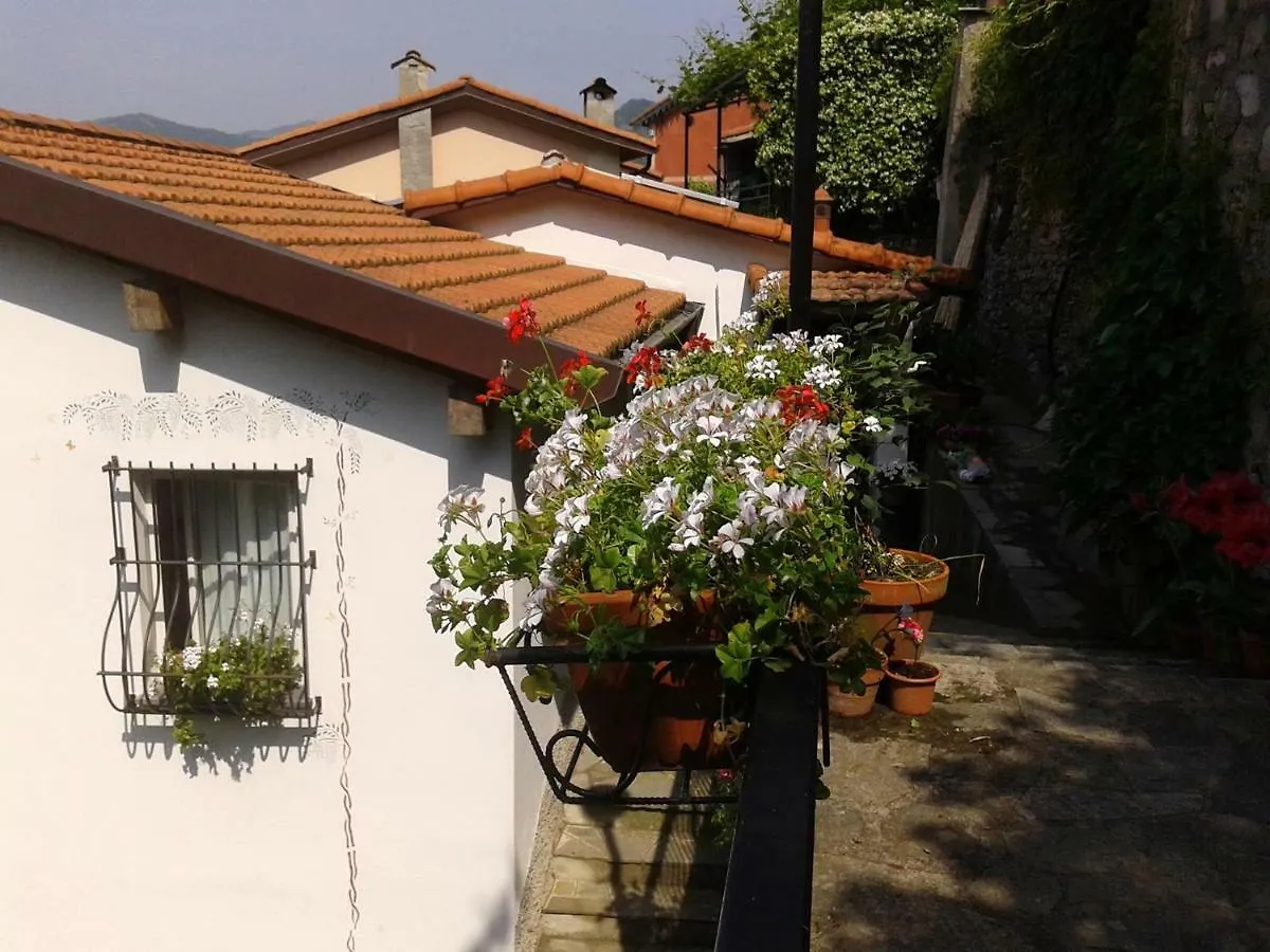 B&B I Glicini Vescina 0*,