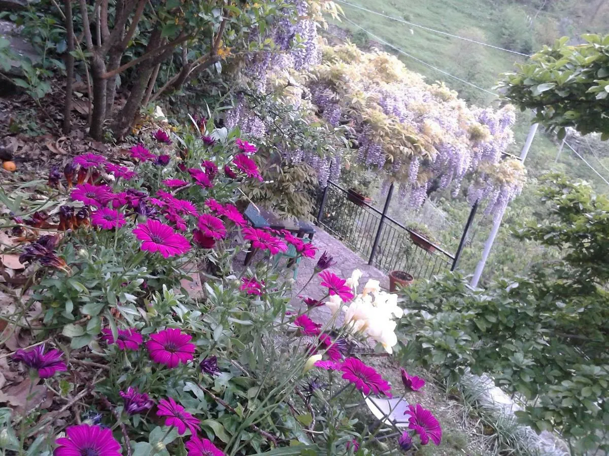 B&B I Glicini Vescina