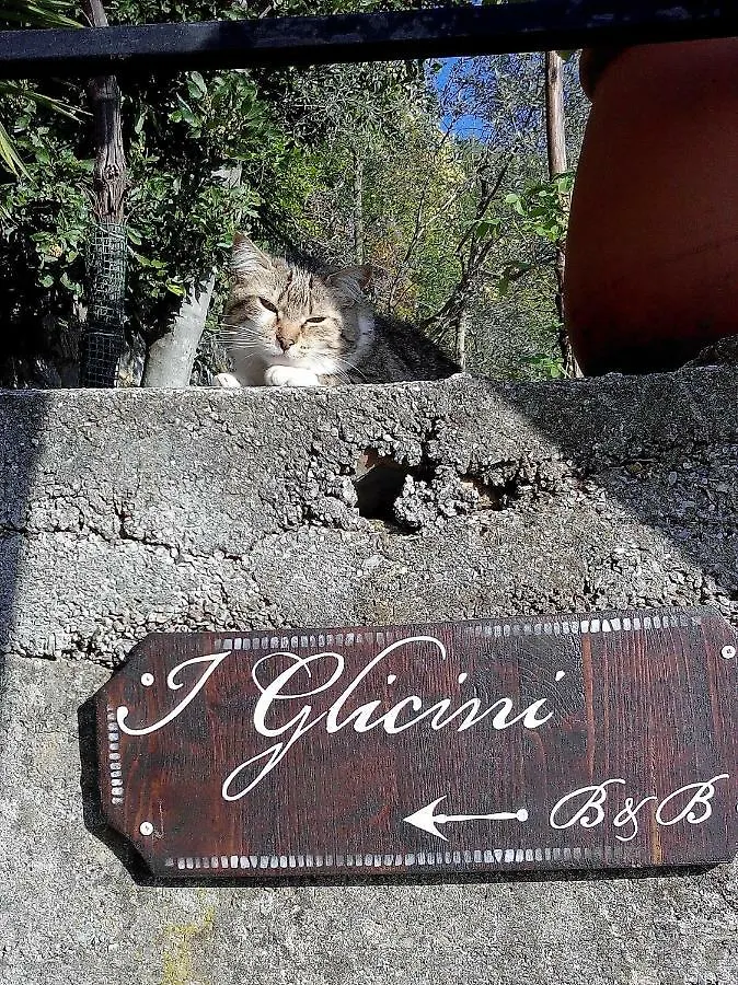 住宿加早餐酒店 B&B I Glicini Vescina